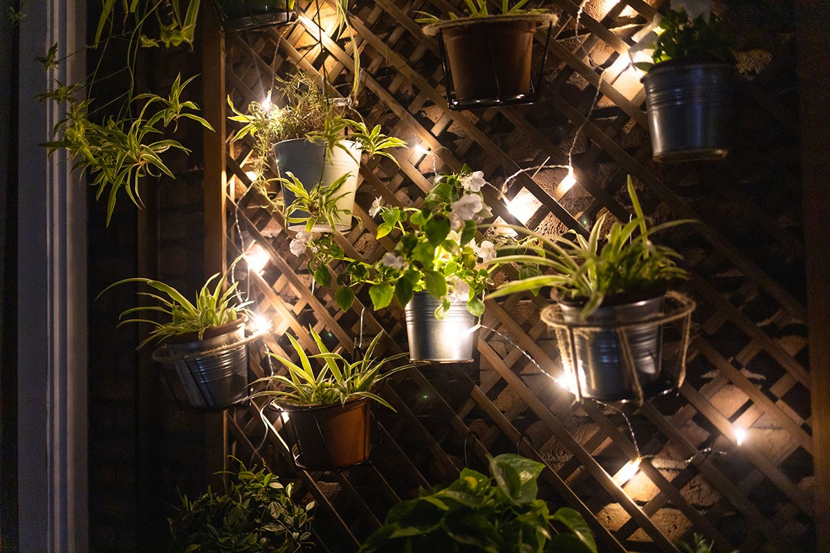 5 ideias de títulos:
1. Iluminação de Jardim: Guia Completo para Valorizar seu Espaço
2. Transforme seu Jardim com Iluminação: Dicas Essenciais e Tendências
3. Segurança e Beleza: Como Escolher a Iluminação Ideal para seu Jardim
4. Iluminação de Jardim com LED: Economia e Eficiência Energética
5. Inspire-se: Galeria de Ideias para Iluminação de Jardins Modernos