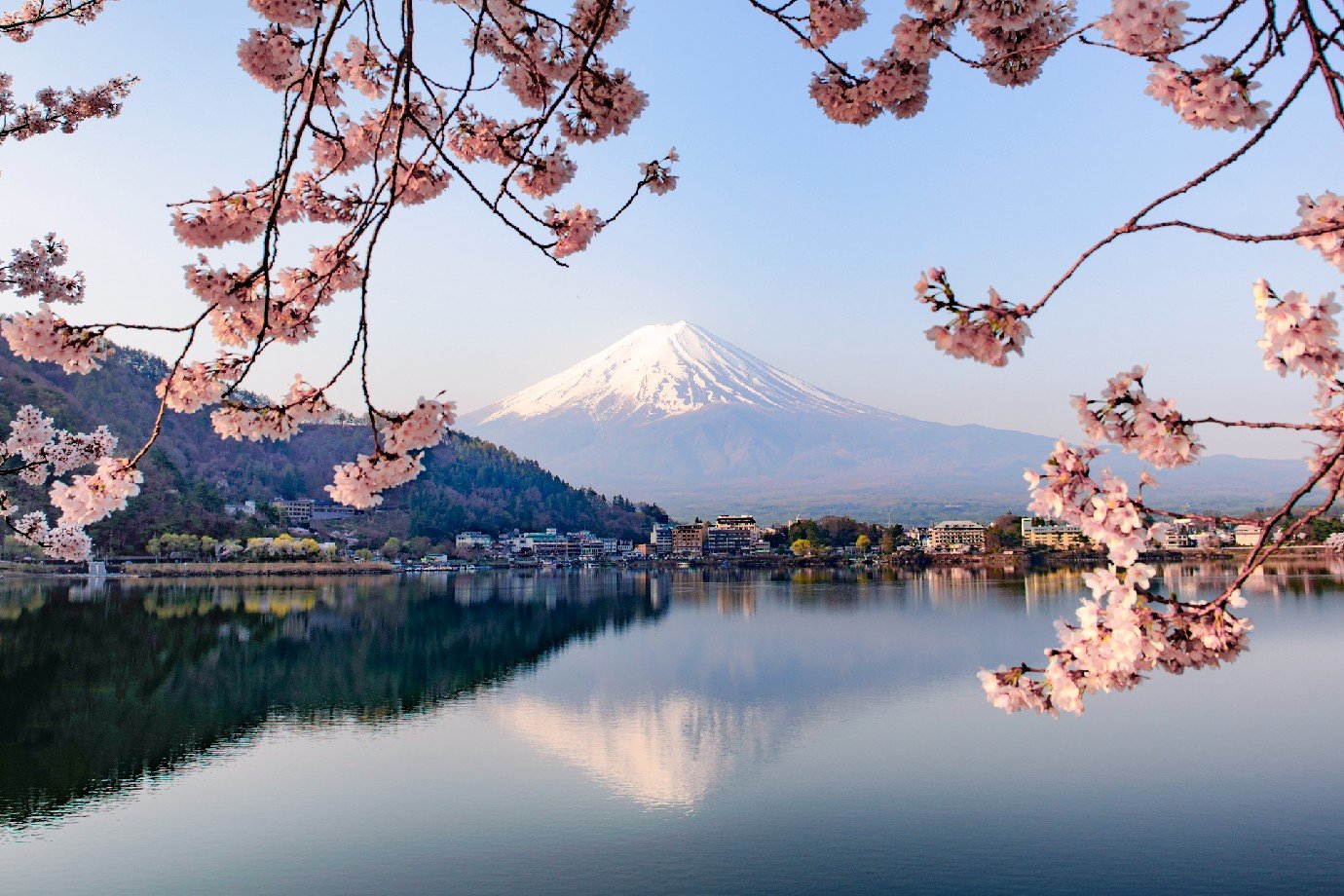 Onde se Hospedar no Japão: Hotéis Modernos vs. Ryokans Tradicionais