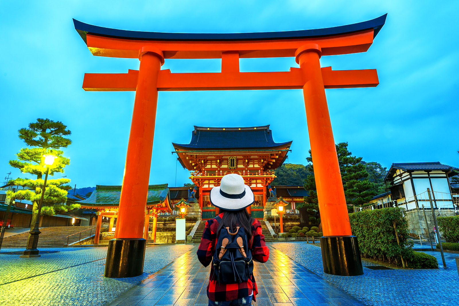 As Melhores Épocas para Ver Sakura e Momiji no Japão