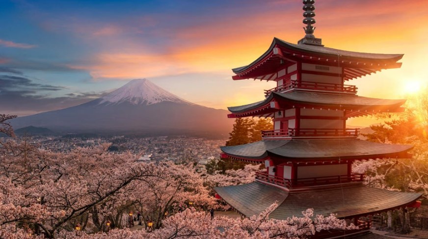 Onde se Hospedar no Japão: Hotéis Modernos vs. Ryokans Tradicionais