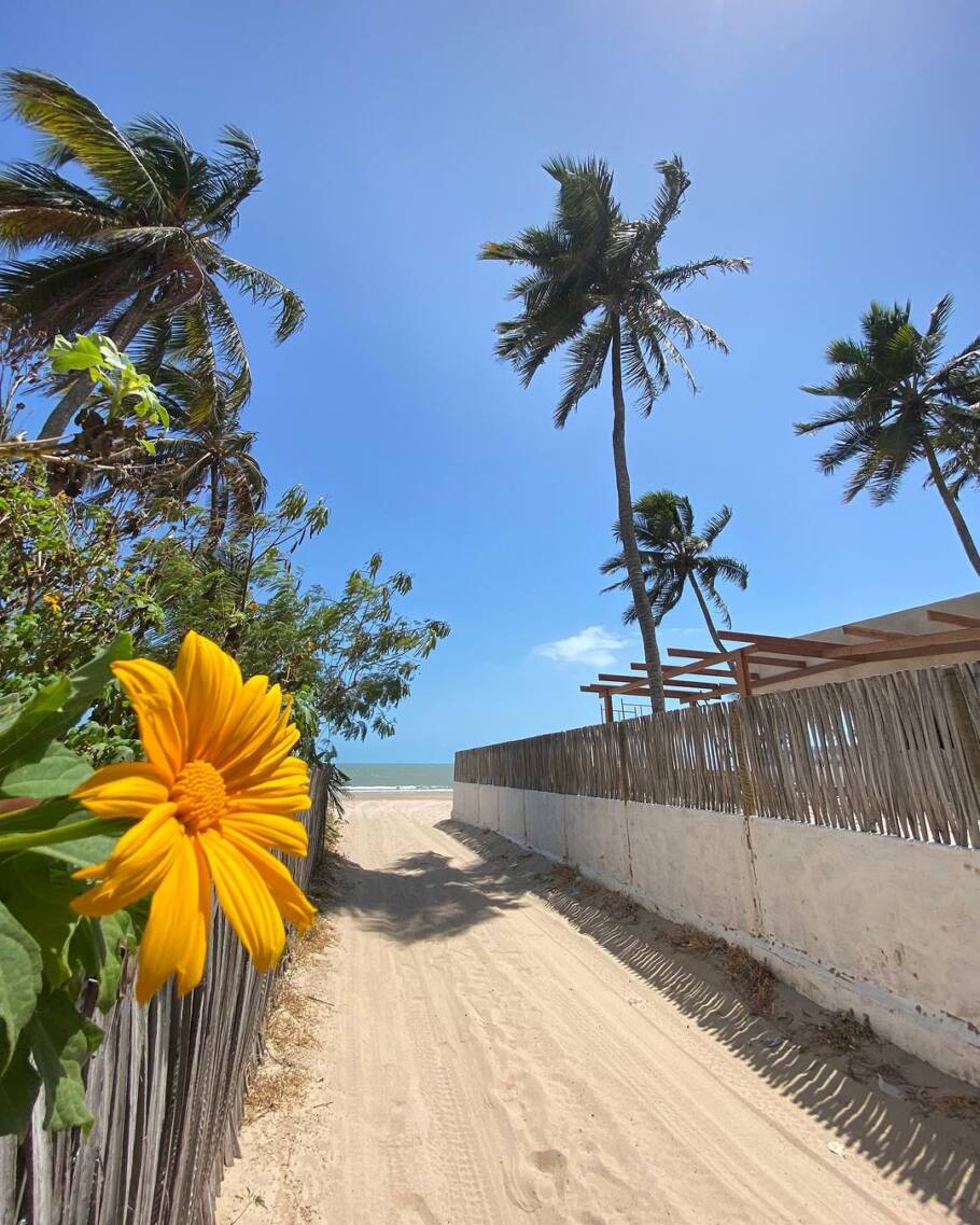 Descubra as Belezas Subaquáticas de Fernando de Noronha
