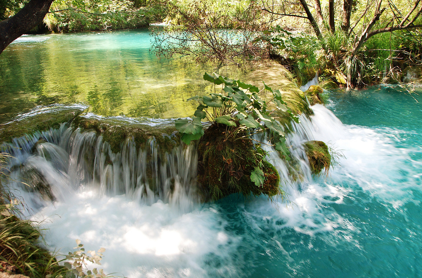 Ecoturismo em Bonito: Rios Cristalinos e Cavernas Misteriosas