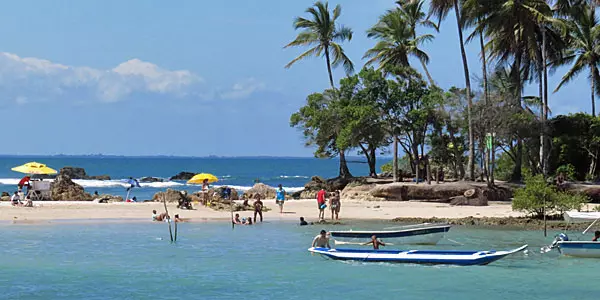 Natureza Intocada: Praias Escondidas do Litoral Norte de São Paulo