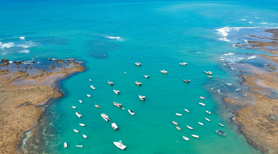 Natureza Intocada: Praias Escondidas do Litoral Norte de São Paulo