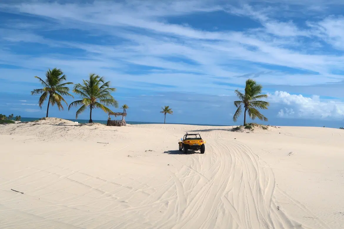 Melhor Época para Visitar Mangue Seco e Dicas Essenciais
