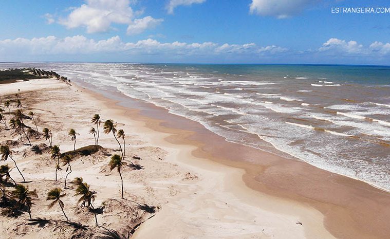 mangue seco bahia brasil