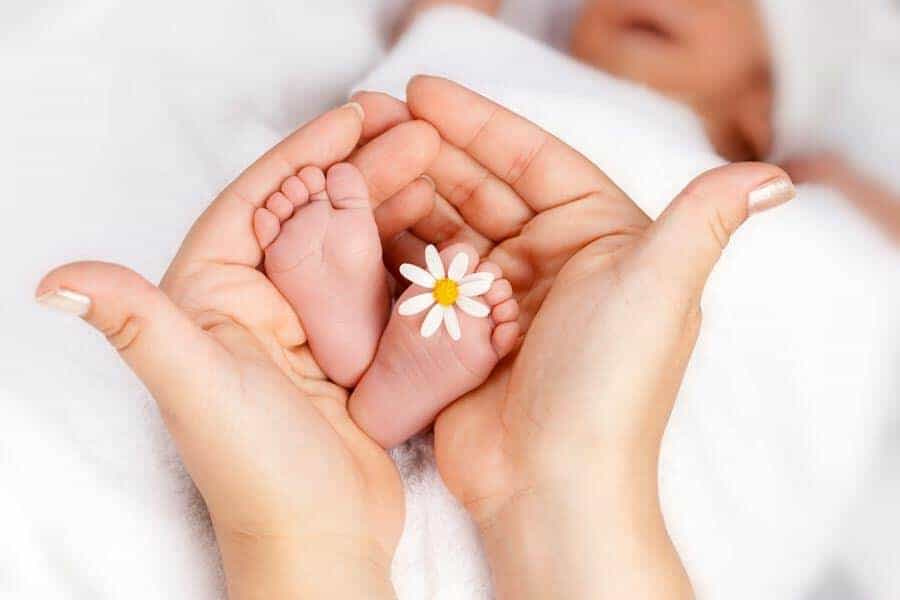 Doação de óvulos compartilhada: como funciona e quais os benefícios