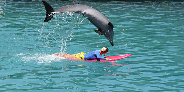 Guia Completo: O Que Fazer em Miami Beach no Dia 1 do Seu Roteiro