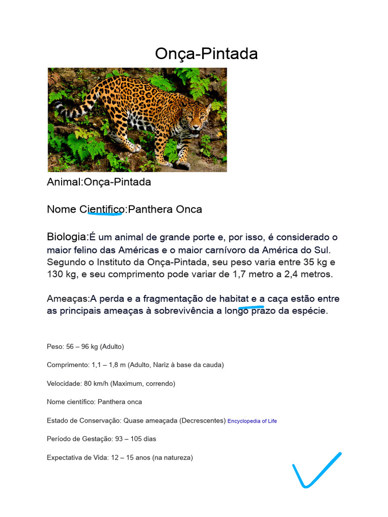 Recursos Visuais em Verbetes: Como Usar Imagens e Gráficos