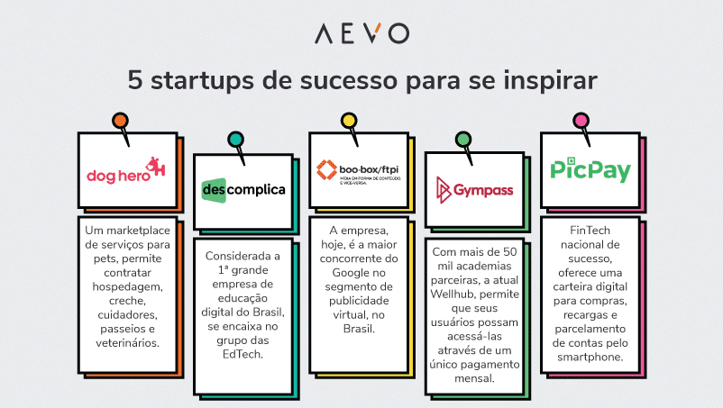 o que é uma startup de educação