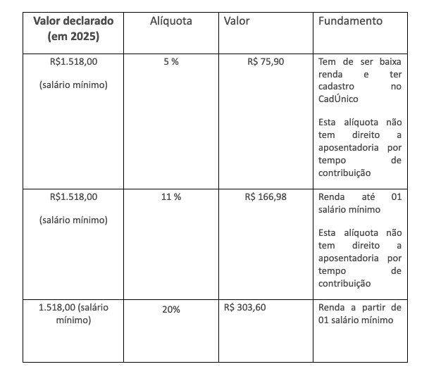 Meu INSS: Como Consultar seu CNIS e Otimizar seu Tempo de Contribuição