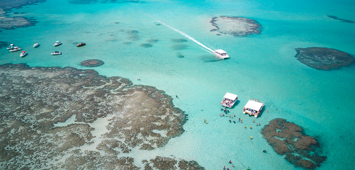 Roteiro de 5 Dias em Maceió e Maragogi: Praias
