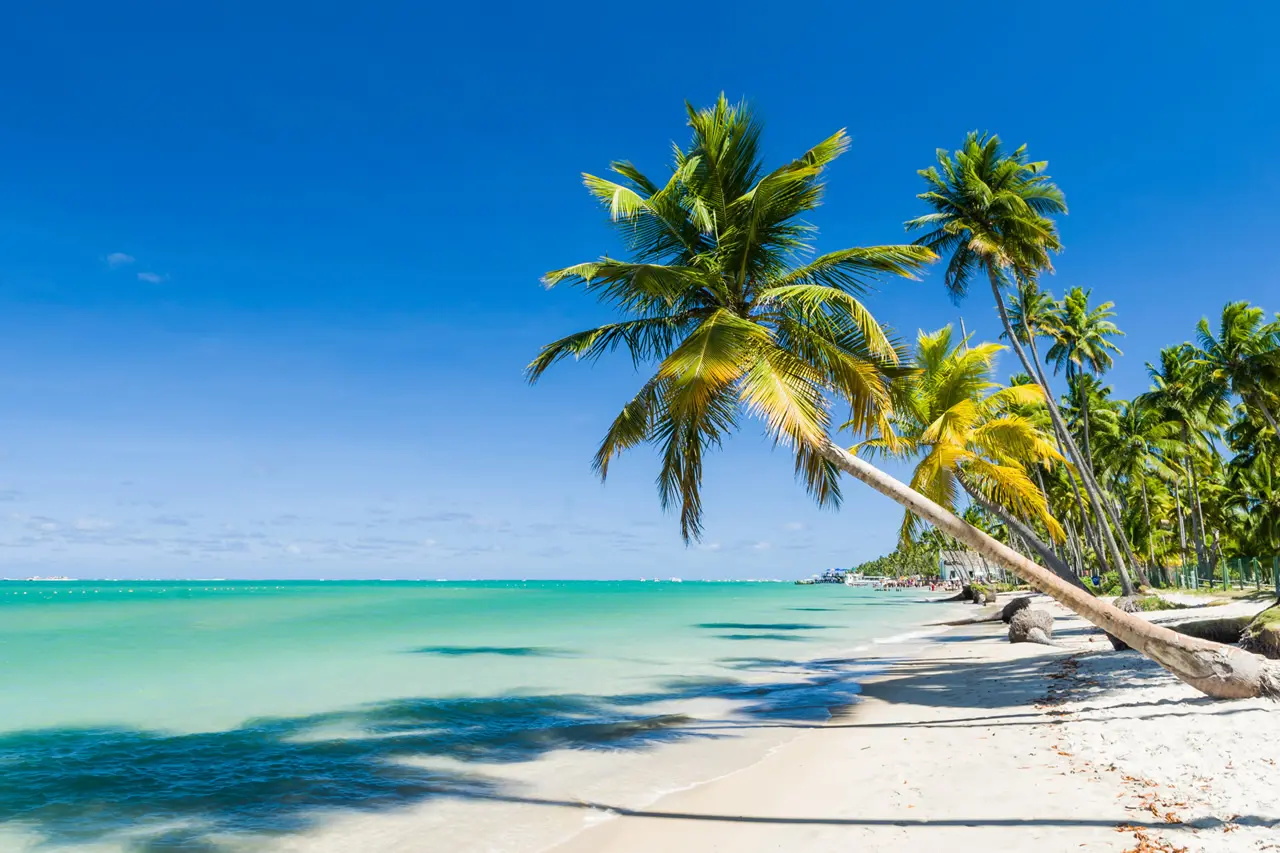 Dicas de segurança e lazer na Praia de Boa Viagem