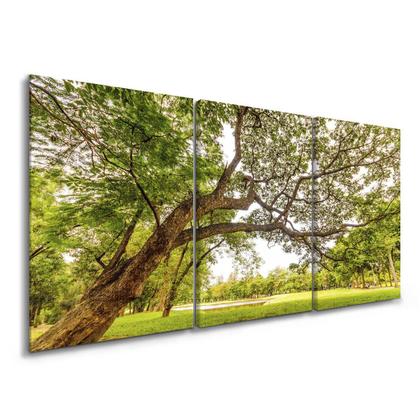 quadros de natureza para quarto