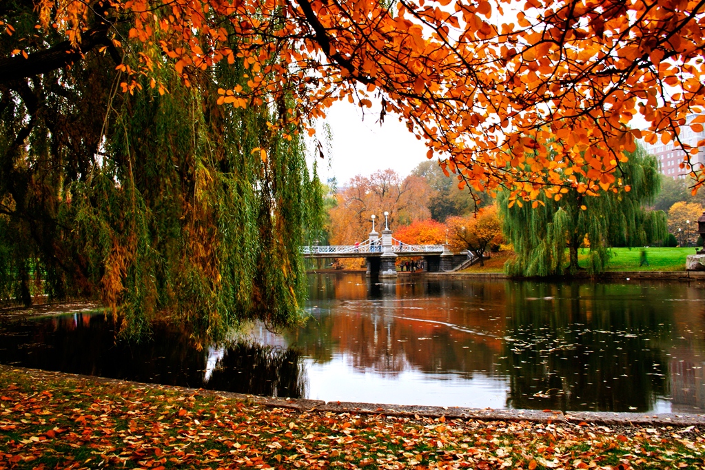 turismo em boston