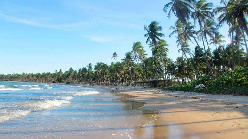Além do Sol e Mar: Experiências Culturais e de Aventura no Sul da Bahia