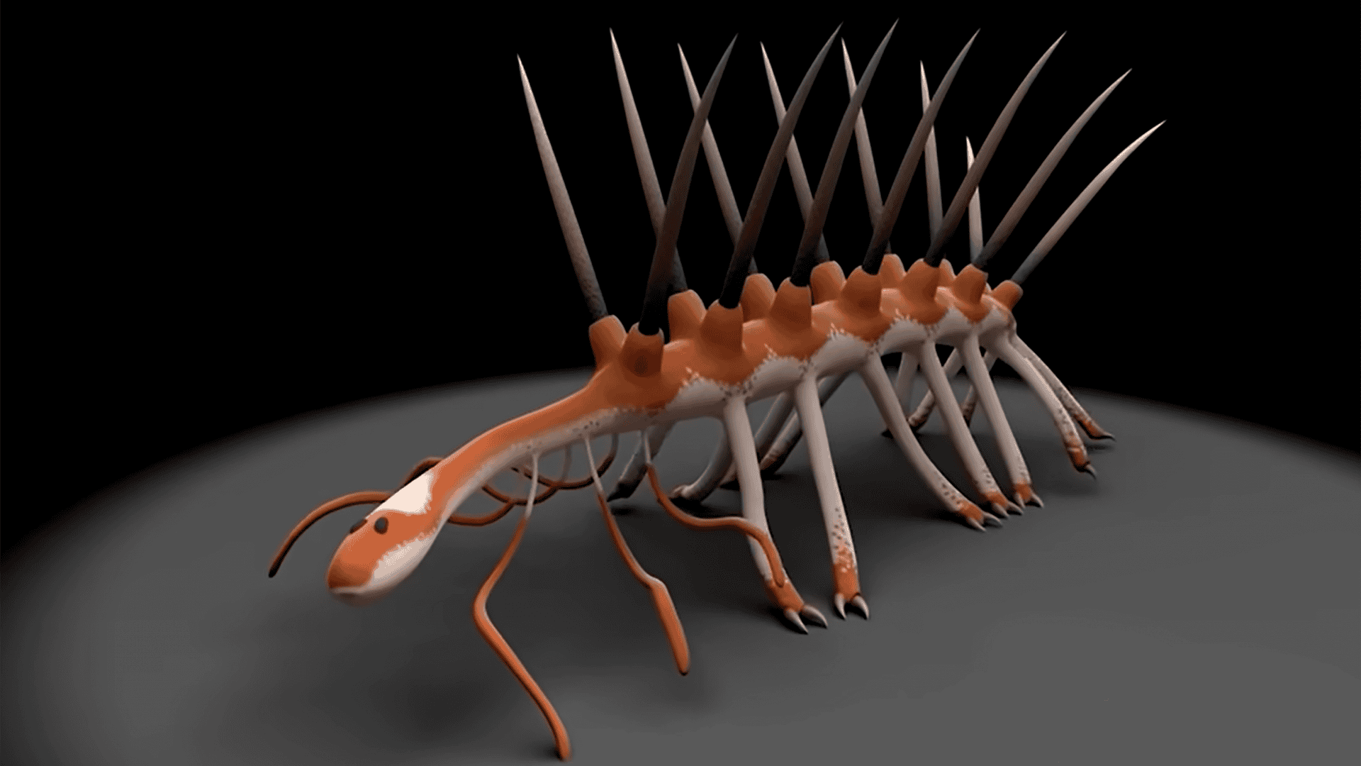 regeneração do axolote em detalhes