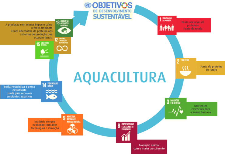 erros comuns na criação de peixes em cativeiro