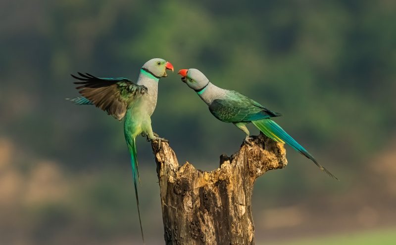fotos de paisagens naturais em alta resolução para download