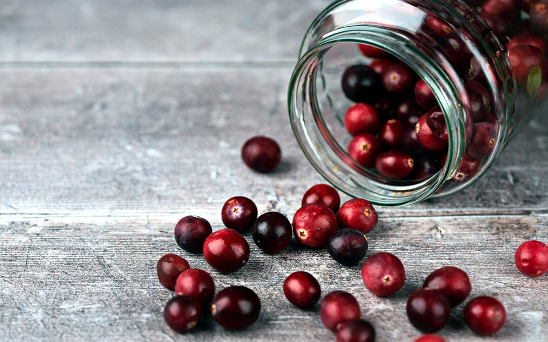 cranberry o que é
