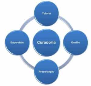 curadoria no direito