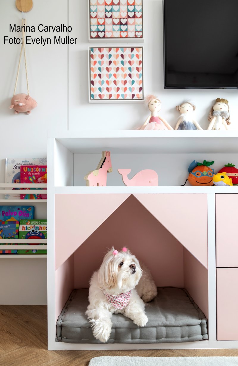 decoração para cachorros