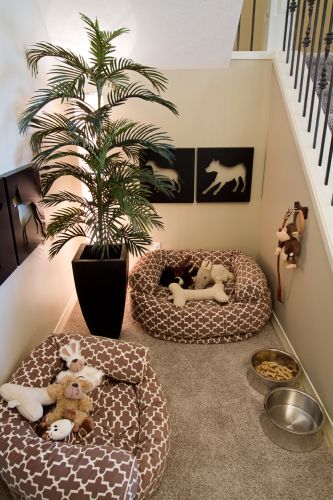 quanto custa decorar um espaço pet friendly