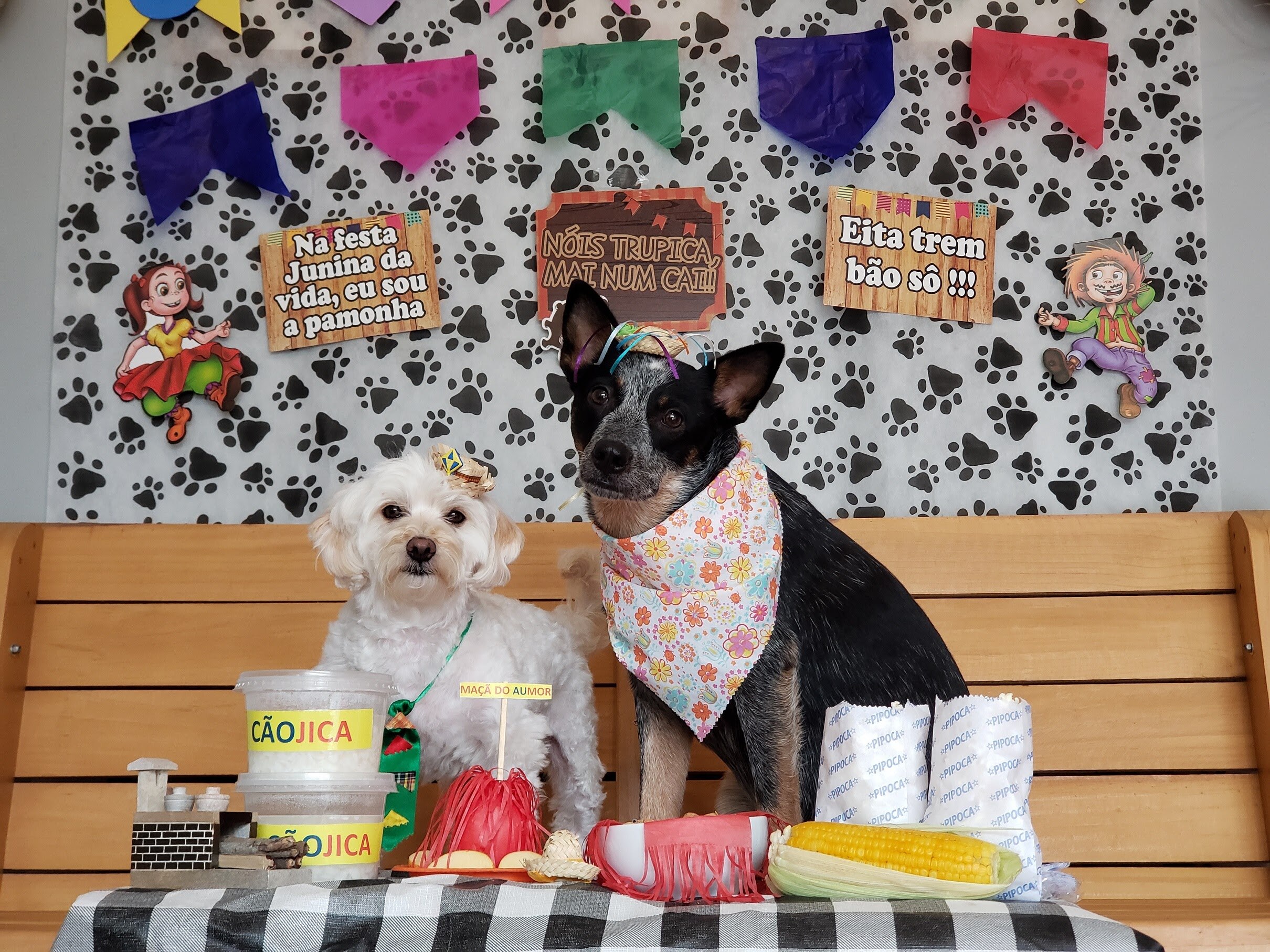 erros comuns ao decorar para cachorros