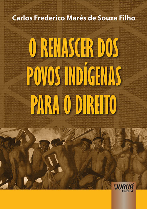 erros comuns no direito de família indígena