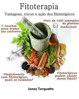 fitoterapia o que é