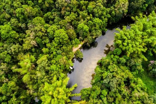 custo de uma expedição fotográfica na amazônia
