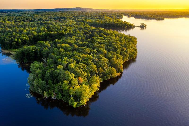 erros comuns ao fotografar a floresta amazônica