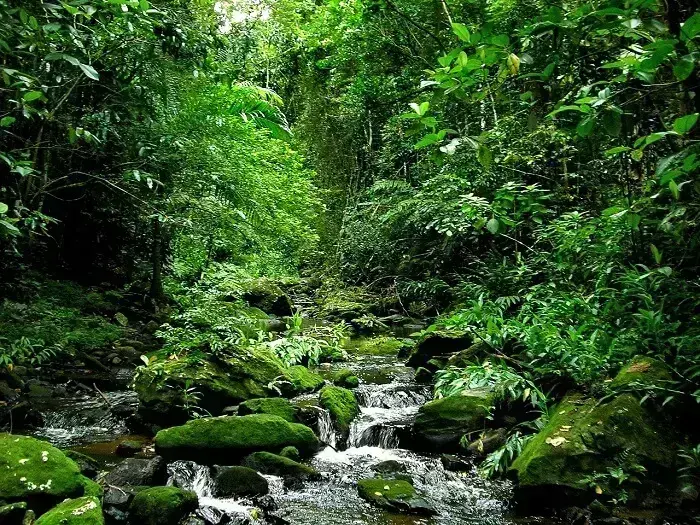 melhores fotos de paisagens naturais para inspirar