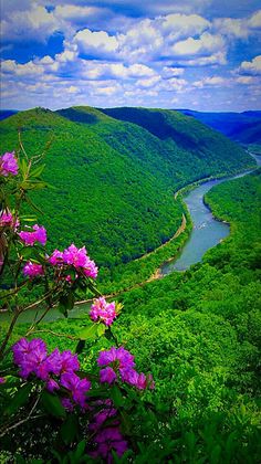 erros comuns ao fotografar paisagens naturais