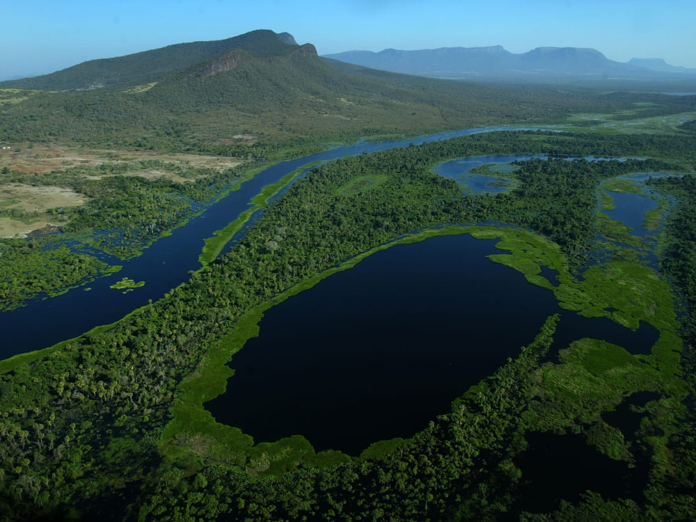 fotografar onça pintada no pantanal