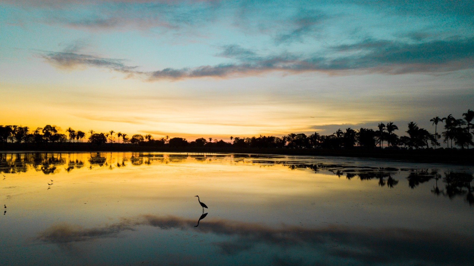 foto pantanal