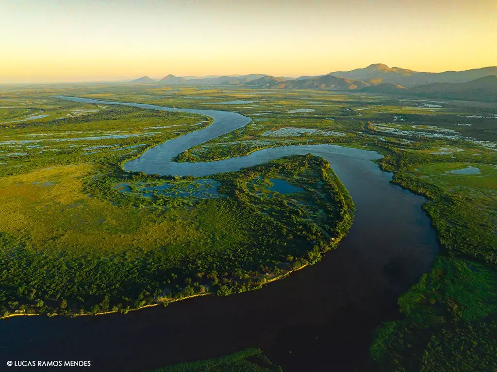 fotografia pantanal vs amazonia