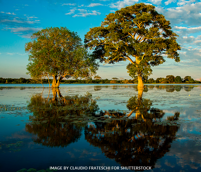 quanto custa uma viagem fotográfica para o pantanal