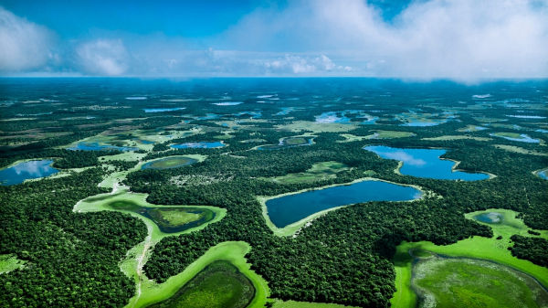 fotografar onça pintada no pantanal