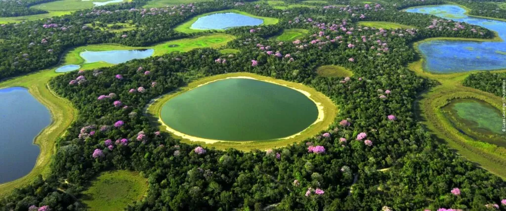 erros comuns ao fotografar no pantanal
