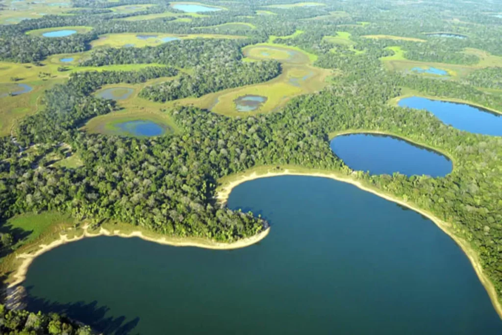 quanto custa uma viagem fotográfica para o pantanal