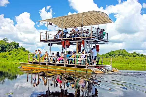 fotografar onça pintada no pantanal