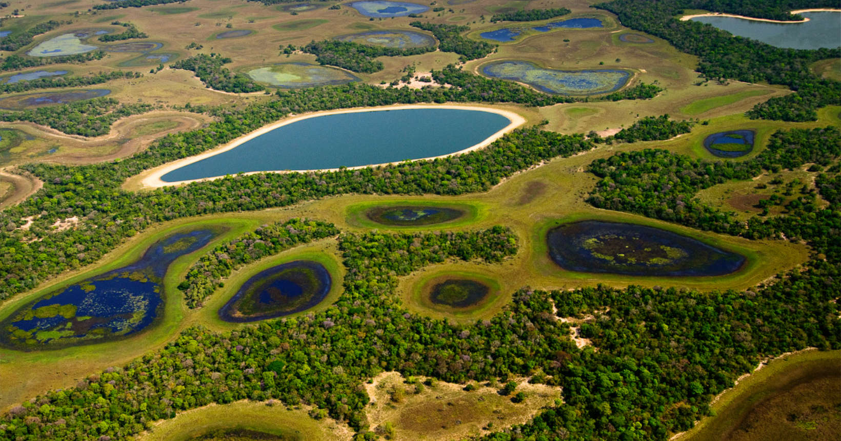 melhores fotos do pantanal para inspirar