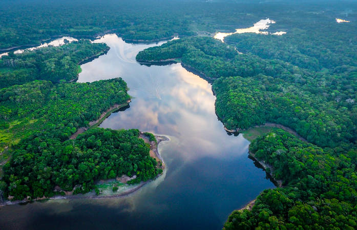 fotógrafos amazônia