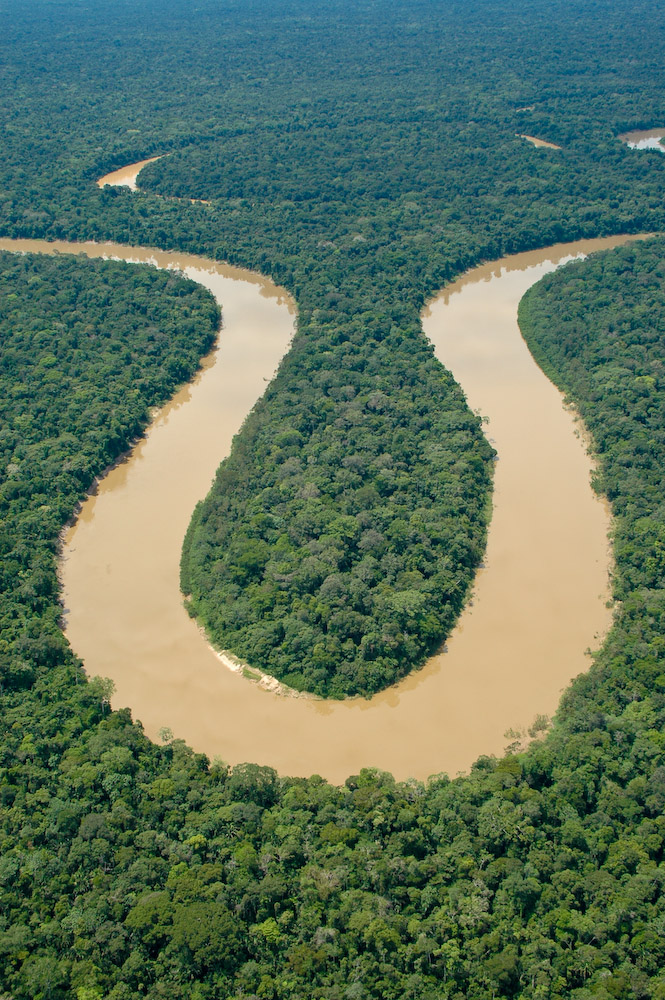 fotos da fauna amazônica