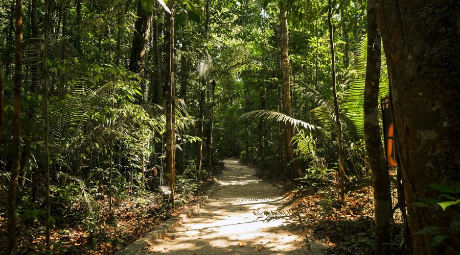 fotos de cachoeiras amazônia