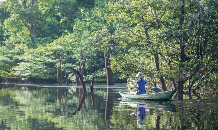 fotos de rios da amazônia