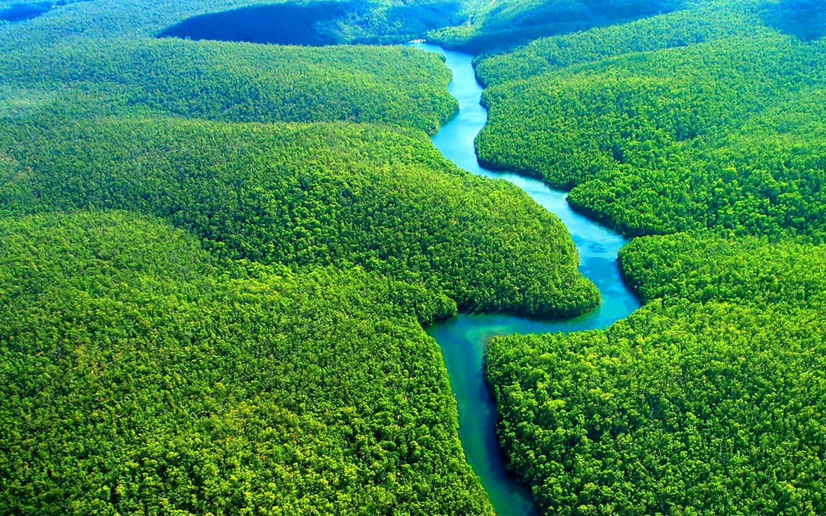 fotos aéreas amazônia