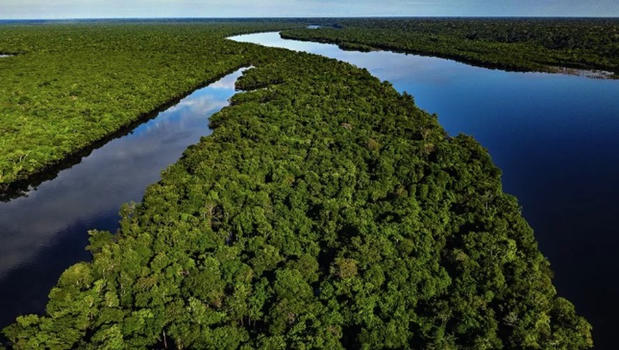 fotos de paisagens amazônicas