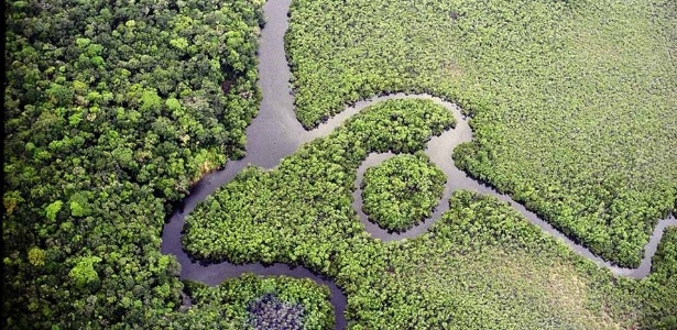 fotos da fauna amazônica brasileira